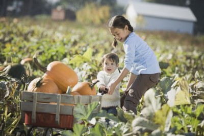 農業する子ども達