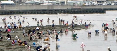 神奈川県の潮干狩り_野島公園の画像