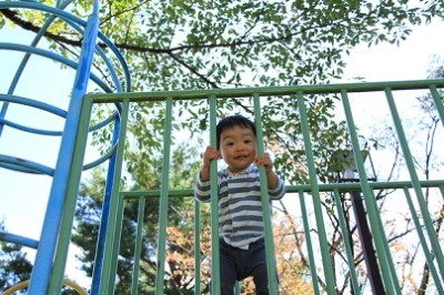 都内、フィールドアスレチック、男の子の画像