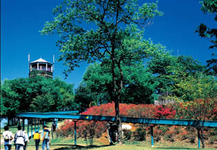 茨城県の公園北山公園の画像