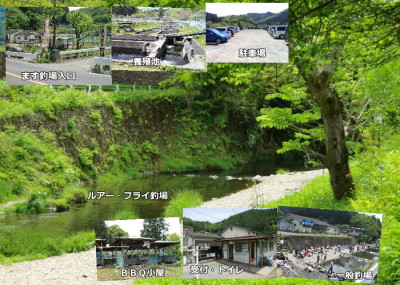 東京八王子市の北浅川恩方ます釣場の釣り堀の画像