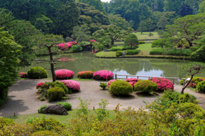 つつじの花が見られる東京六義園のイメージ画像
