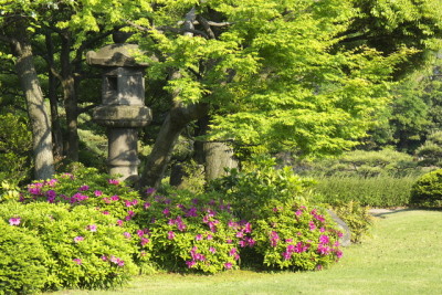 つつじの花が見られる東京清澄庭園のイメージ画像