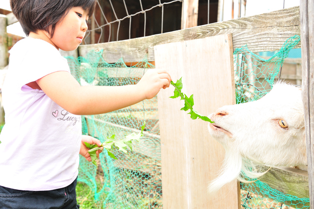 動物園神奈川のイメージ画像