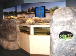 img02
