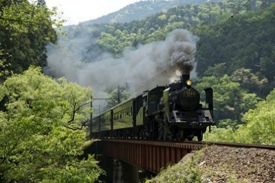 SL、大井川鉄道、陸橋のSLの画像