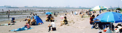 潮干狩り_東京の葛西臨海公園の画像