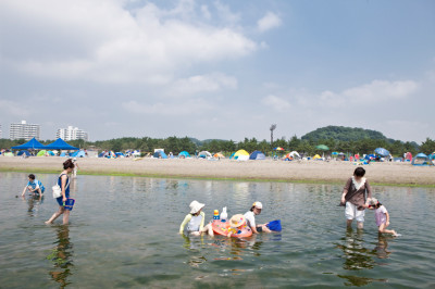海の公園の潮干狩りの画像