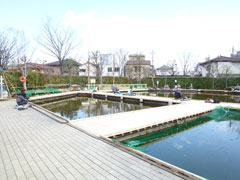 東京荒川区のあらかわ遊園の釣り堀の画像