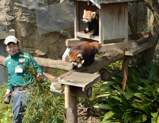 神奈川野毛山動物園の画像