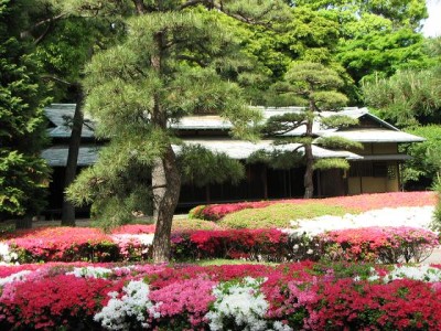つつじの花が見られる東京皇居東御苑のイメージ画像