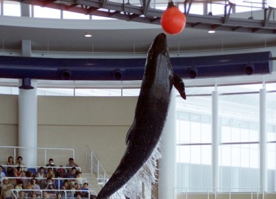 アクアワールド大洗水族館