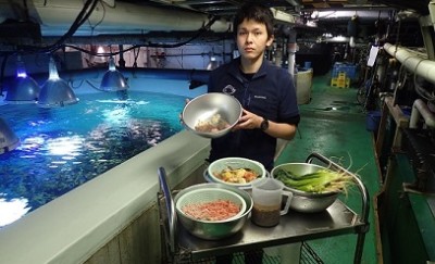動物園、4月19日、えさ台の画像