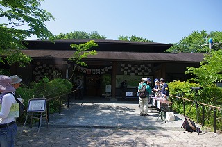 鎌倉エリア横浜自然観察の森を子連れでお散歩!の画像