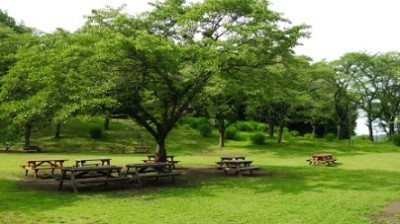 バーベキュー、深呼吸、森林公園の画像