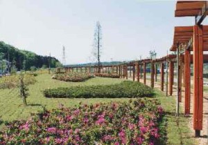 fujisawa city park