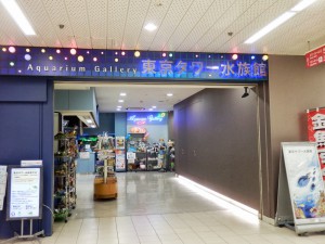 東京タワーの中にある水族館の画像