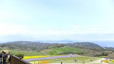 淡路島で子どもが絶景を楽しめる遊び場のあわじ花さじきの画像