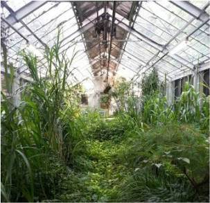 夏休みに子どもとおでかけしたい無料スポット、板橋区ホタル生態環境館の画像