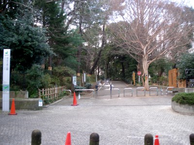都内でカブトムシが採集できる林試の森公園の画像