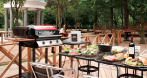 bbq garden