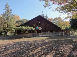 log house in the park