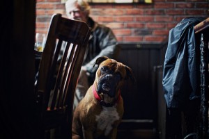 pet-friendly cafe