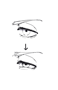 Small img 4452