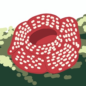 Small 4ab95cca 6258 4fd9 b658 90d907b1ac05
