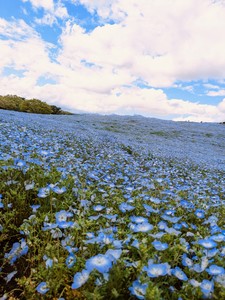 Small pxl 20230416 032346746 2