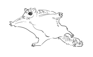 Small img 7210