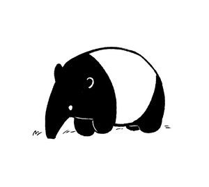 Small img 5381