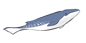 Small img 9831