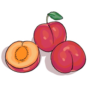 Small img 9894