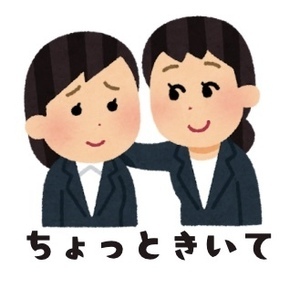 Small img 8783