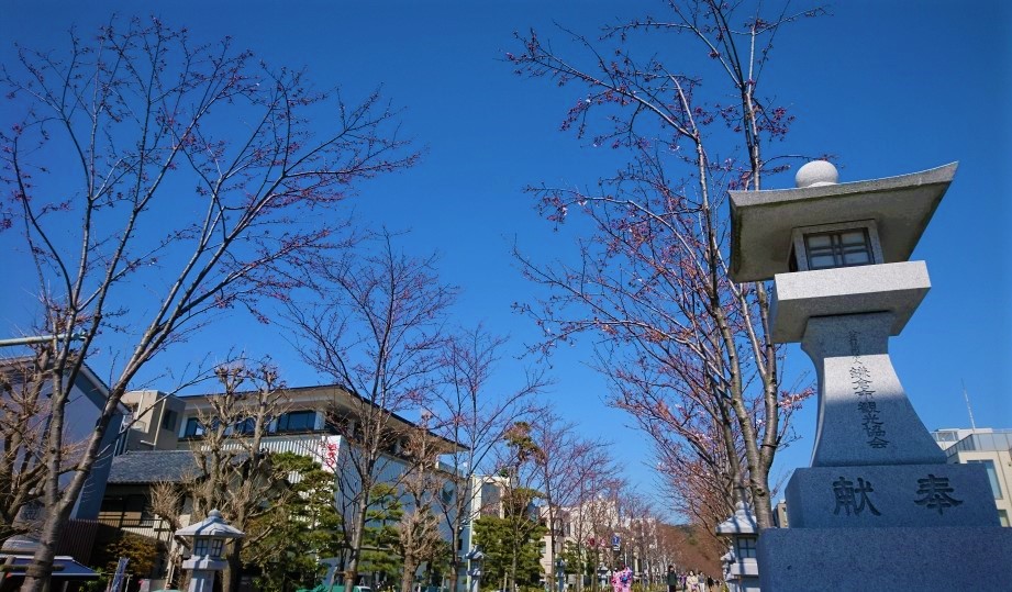 心地よい風に吹かれて 鎌倉散歩旅