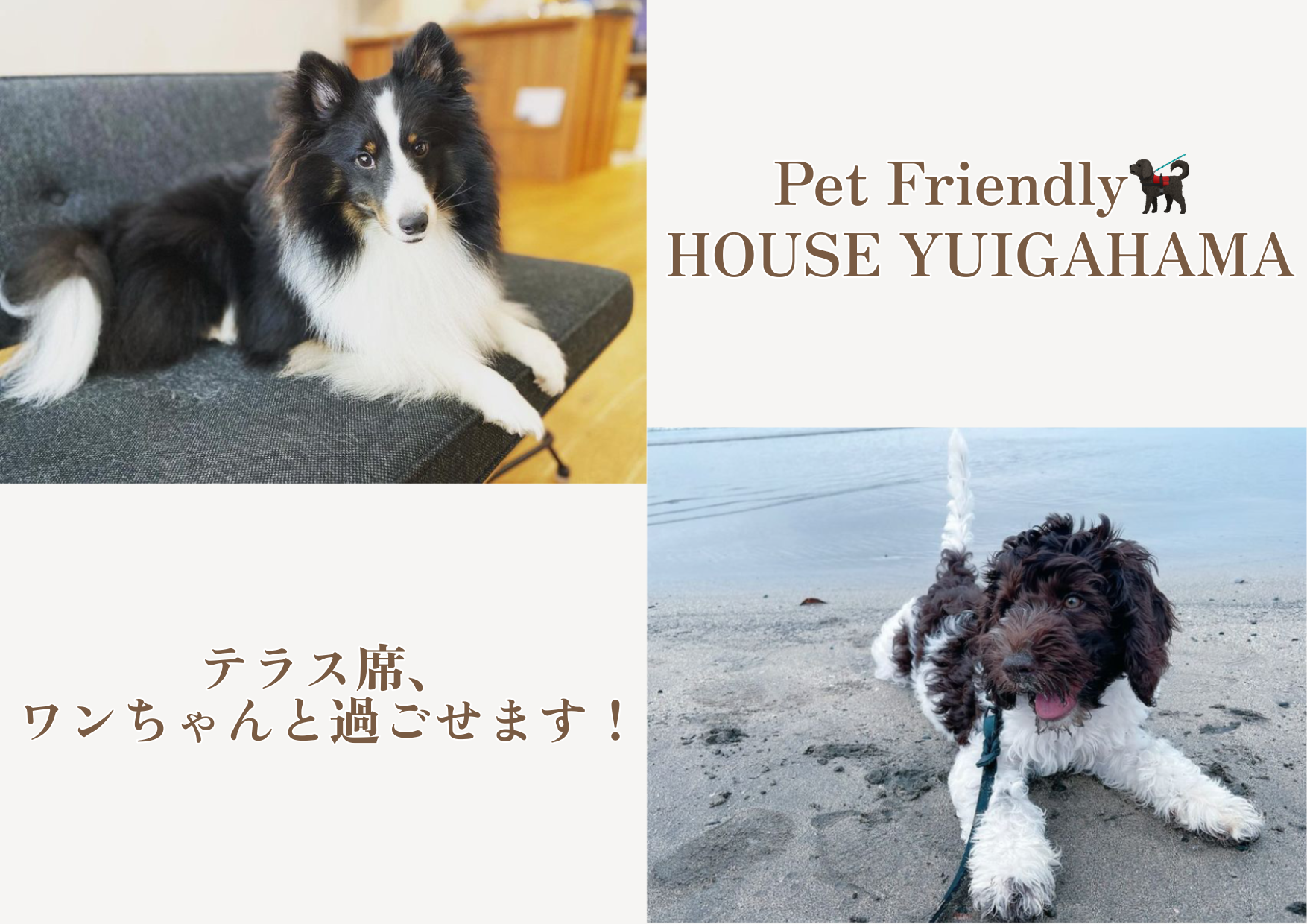 【Pet Friendly! HOUSE YUIGAHAMA テラス席、ワンちゃんと一緒に過ごせます！】