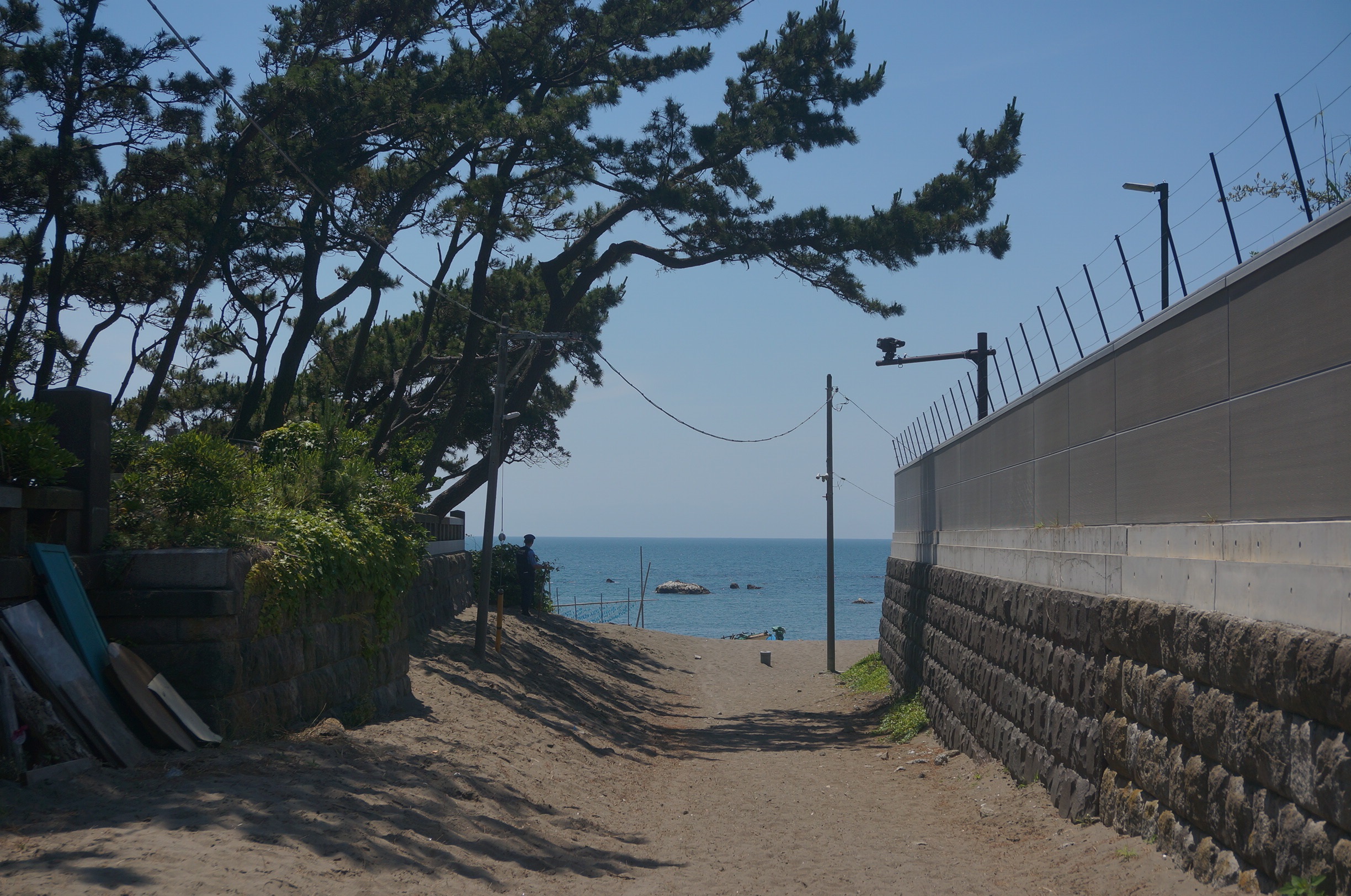 4月の葉山でおススメの過ごし方。