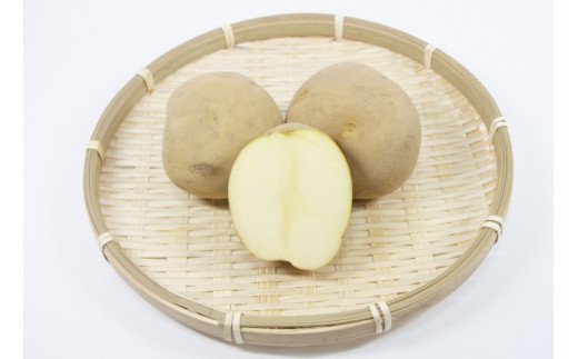 生産者直送 ルスツ産じゃがいも きたかむい 6kg 秦農場 北海道留寿都村 ふるさと比較