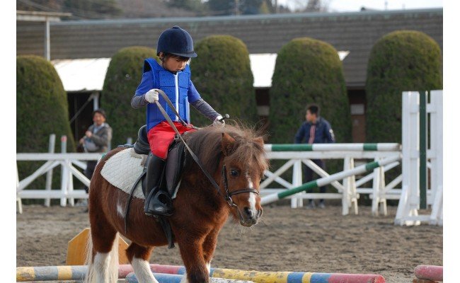 初めてのお子様でも安心 ふれあいも楽しい ポニー乗馬体験 2回コース 東京都八王子市 ふるさと比較