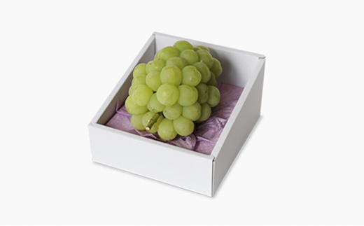 ぶどう園から朝採り 直送瀬戸ジャイアンツ1房 1房550g 700g 岡山県岡山市 ふるさと比較