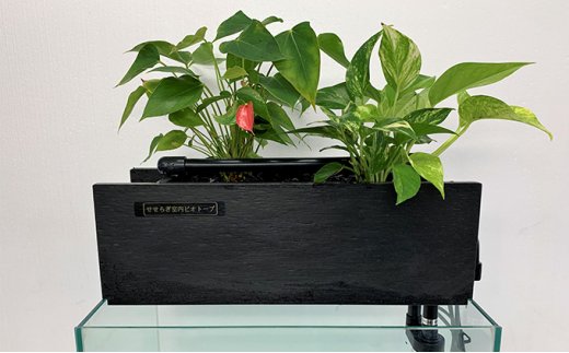 せせらぎ室内ビオトープ 45cmろ過装置 縁なし水槽用 広島県東広島市 ふるさと比較