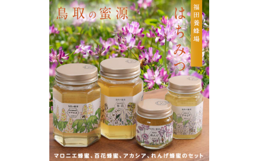 トップ ふるさと比較 トップ ふるさと比較