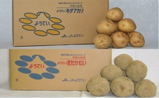 Jaようてい ばれいしょ 食べ比べセット キタアカリ きたかむい 北海道京極町 ふるさと比較