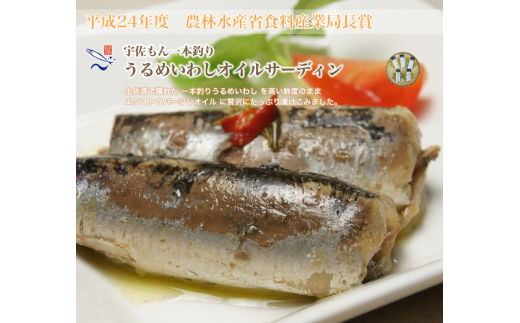 A 17 うるめづくし 高知県土佐市 ふるさと比較
