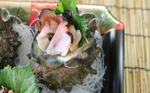 7 6 生産者支援 届いてすぐに食べられる サザエ刺身2kg 約5 7個 千葉県鴨川市 ふるさと比較