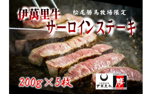 J312伊萬里牛サーロインステーキ5枚 約1 0kg ソース2種付き 佐賀県伊万里市 ふるさと比較