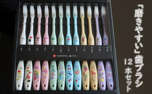Ae 磨きやすい歯ブラシ 歯みがき四季折々 極12本セット 奈良県桜井市 ふるさと比較