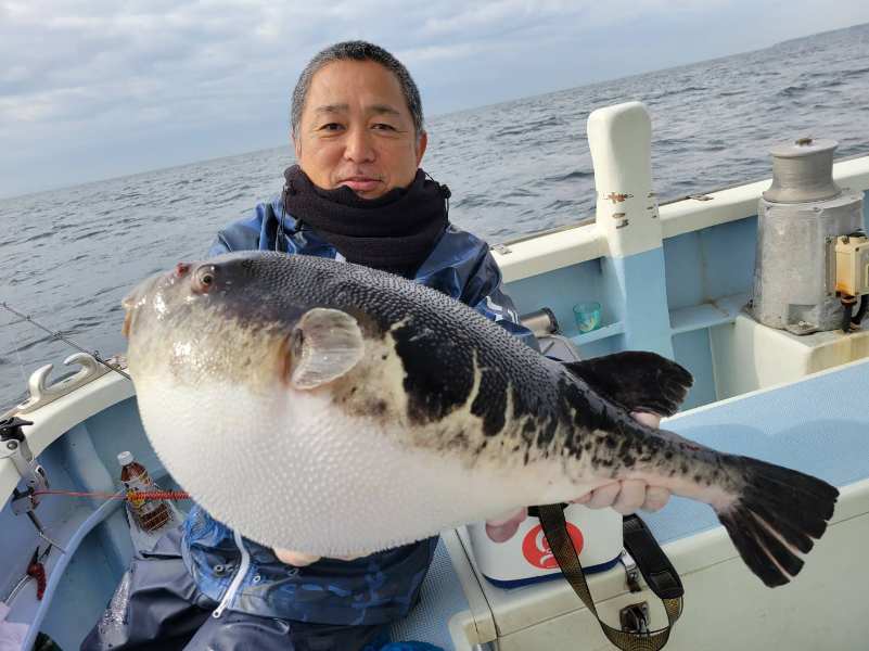 フク 倉岳町に巨大ふぐモニュメント出現！ - 熊本県天草観光ガイド