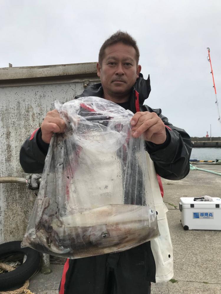 にわか釣り師 iKAクラ『 イカつ～る No.8 』 - 株式会社カツイチ